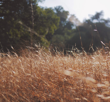 球队实力强劲，轻松战胜对手——赛场王者的崛起